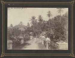 On the Road to Castleton, Jamaica [Fotografi]