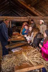 Tresking i Hammervoll-løa med Bjørn Austigard.