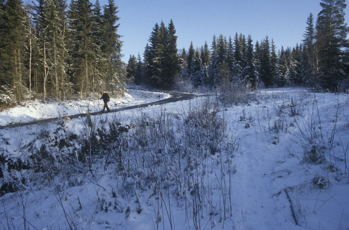 Lillehammer, Kanthaugen, Birkebeinervegen, også nevnt som Vipvegen, sving nedenfor nedre Skrefsrud, mot nord-øst