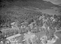 133176 V. Tretten st.  Widerøe