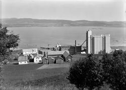 I. C. Piene & Søn i Buvika