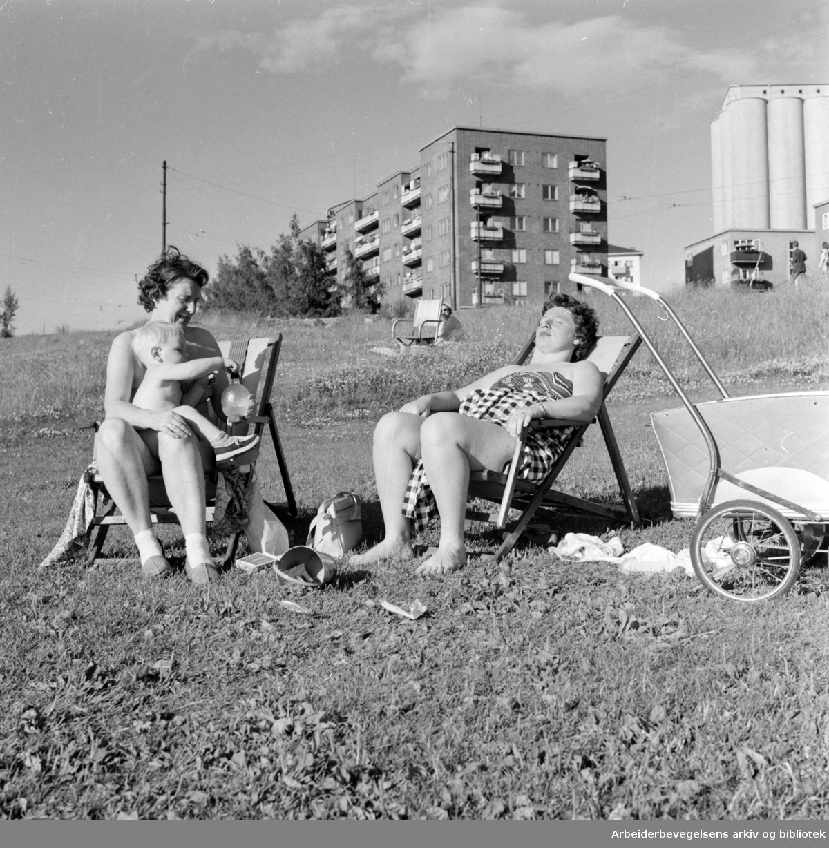 Torshovdalen park. Juli 1958
