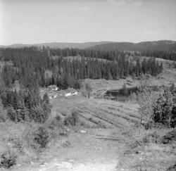 Trollvannet og Trollvannstua: Juni 1957.