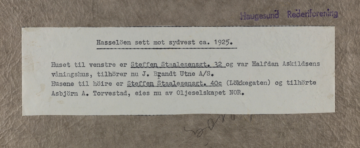 IX Hasseløen - Hasseløy - sett mot sydvest ca.1925