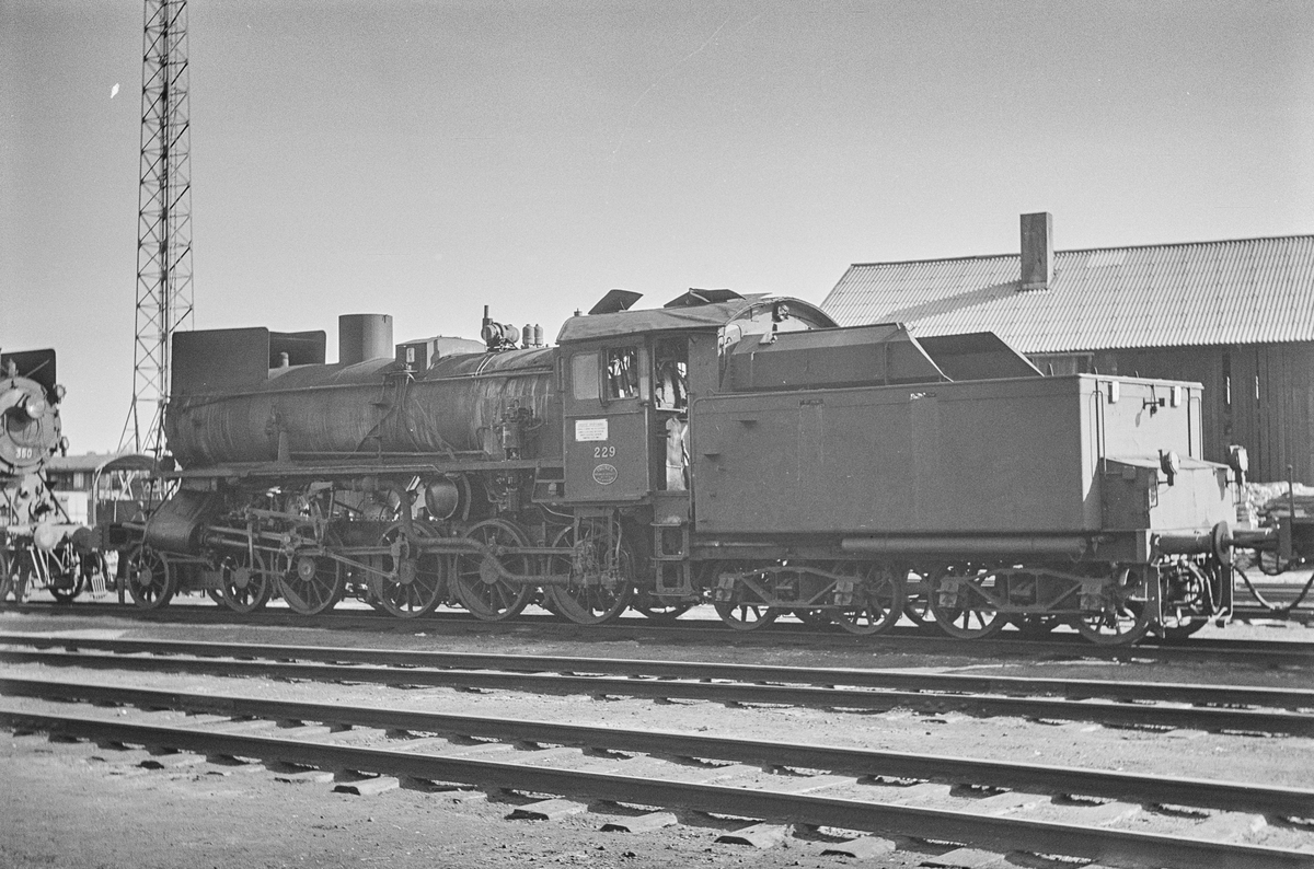 Damplokomotiv type 26b nr. 229 på Marienborg ved Trondheim.