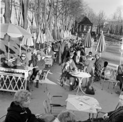 Studenterlunden. "Pernille". April 1963