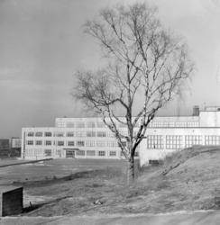 Sinsen Middelskole.Februar 1949