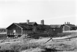 Nysetra, nordre, setermeieri, Philske sameie, seterbruk på H