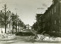 Fredrikstad,
Vestsiden,
Cicignon,
Bjarne Aas gate (tidl. 