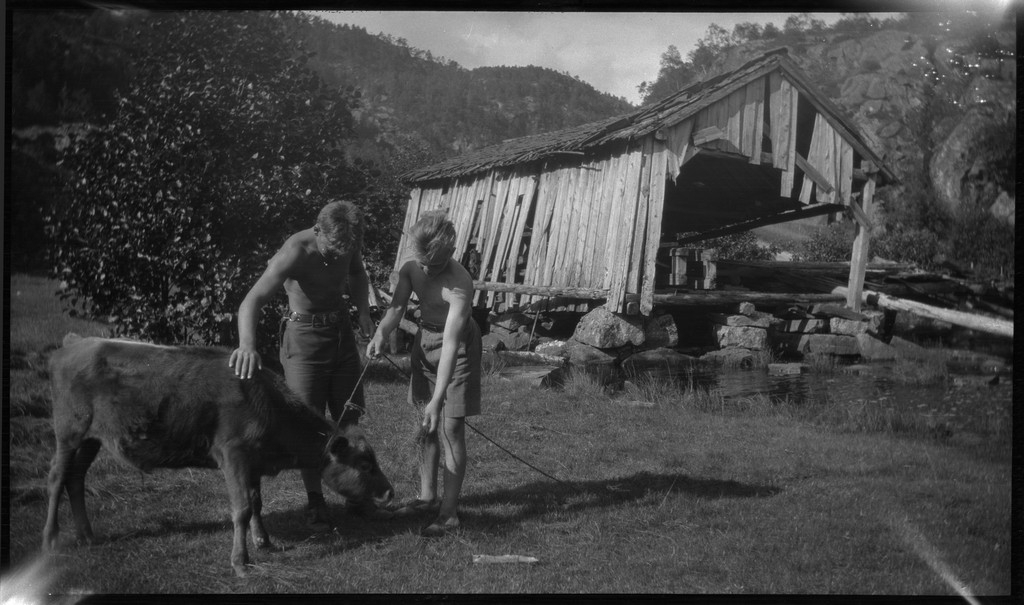 Leif Stender, Einar Hoseth og en gutt til, i tillegg til fotografen Finn Johannessen på seile- og rotur i Ryfylke med en nordlandsbåt. Det er bilder fra guttene i nordlandsbåten, fra bading, fjelltur og teltliv.
