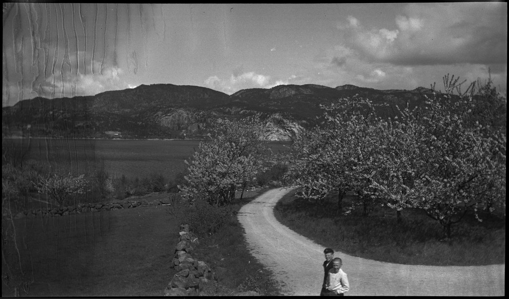 Harald Bergsaker og fotografen besøker flere små gårdsbruk og bygder i Strand kommune. Det er bilder fra landskap, bebyggelse, barn, sauer og lam. Frukttrærne står i full blomst.