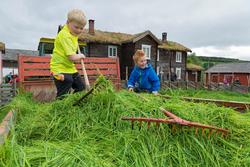 Fra "Fløttdagen" på Dølmotunet 2016, Tolga, Hedmark. Musea i