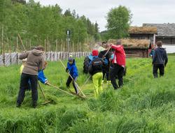 Fra "Fløttdagen" på Dølmotunet 2016, Tolga, Hedmark. Musea i