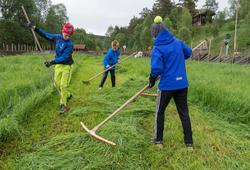 Fra "Fløttdagen" på Dølmotunet 2016, Tolga, Hedmark. Musea i