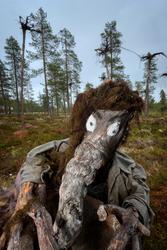Troll. Trollfigur. Eventyrfigur. Fra Blokkodden Villmarksmus