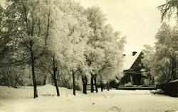 Bjarne Aas gate 9 = Isegrans gate 9.
Phønixbrygga.