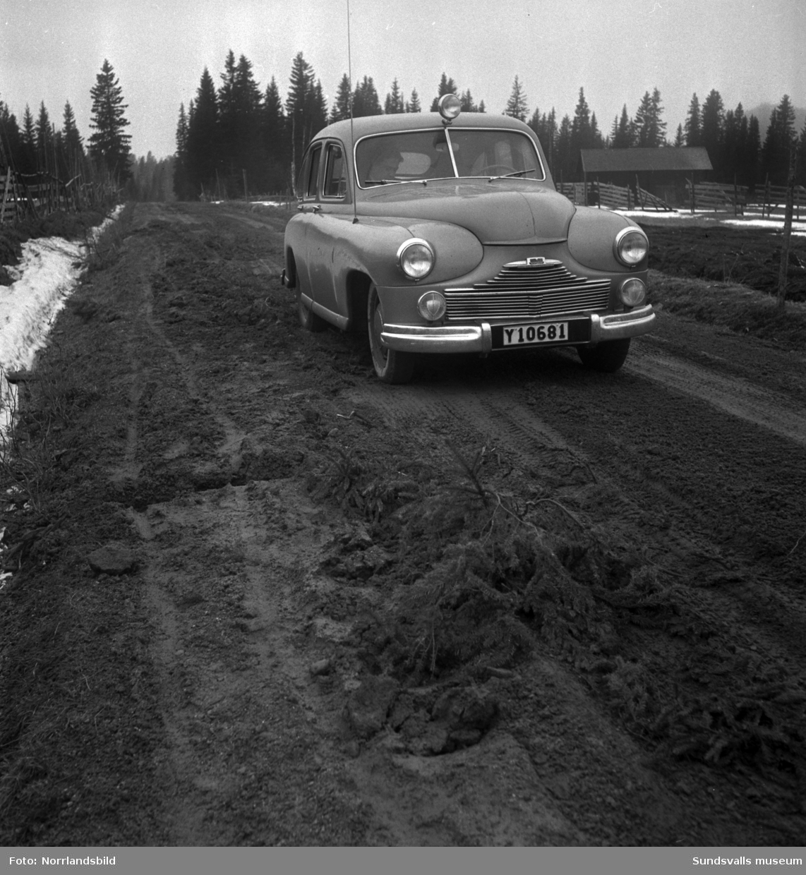 Besvärligt och lerigt väglag våren 1950 för bilförare och cyklister på vägen mellan Torpshammar och Hassela.