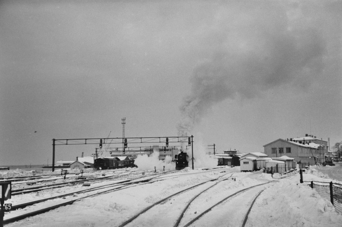 Persontog på Trondheim stasjon. Toget trekkes av damplokomotiv type 63a nr. 1101. Dette kan være ekstratog til Røros i forbindelse med Rørosmartnan, som ble avviklet fra 15. februar.