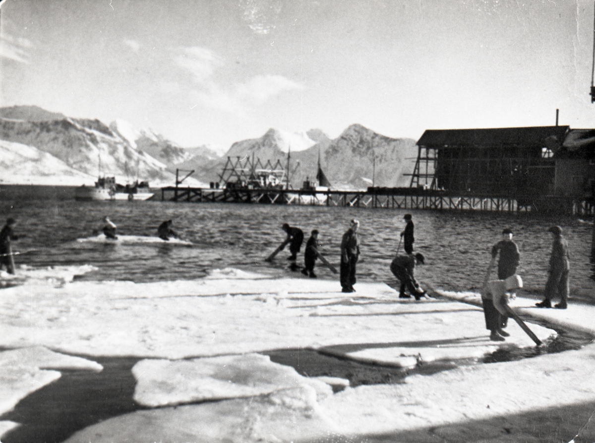 Barn på isflak ved Ellingsens nybygg på Sortland ca. 1945
