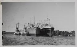 Utrykning til Sandefjord i august 1936