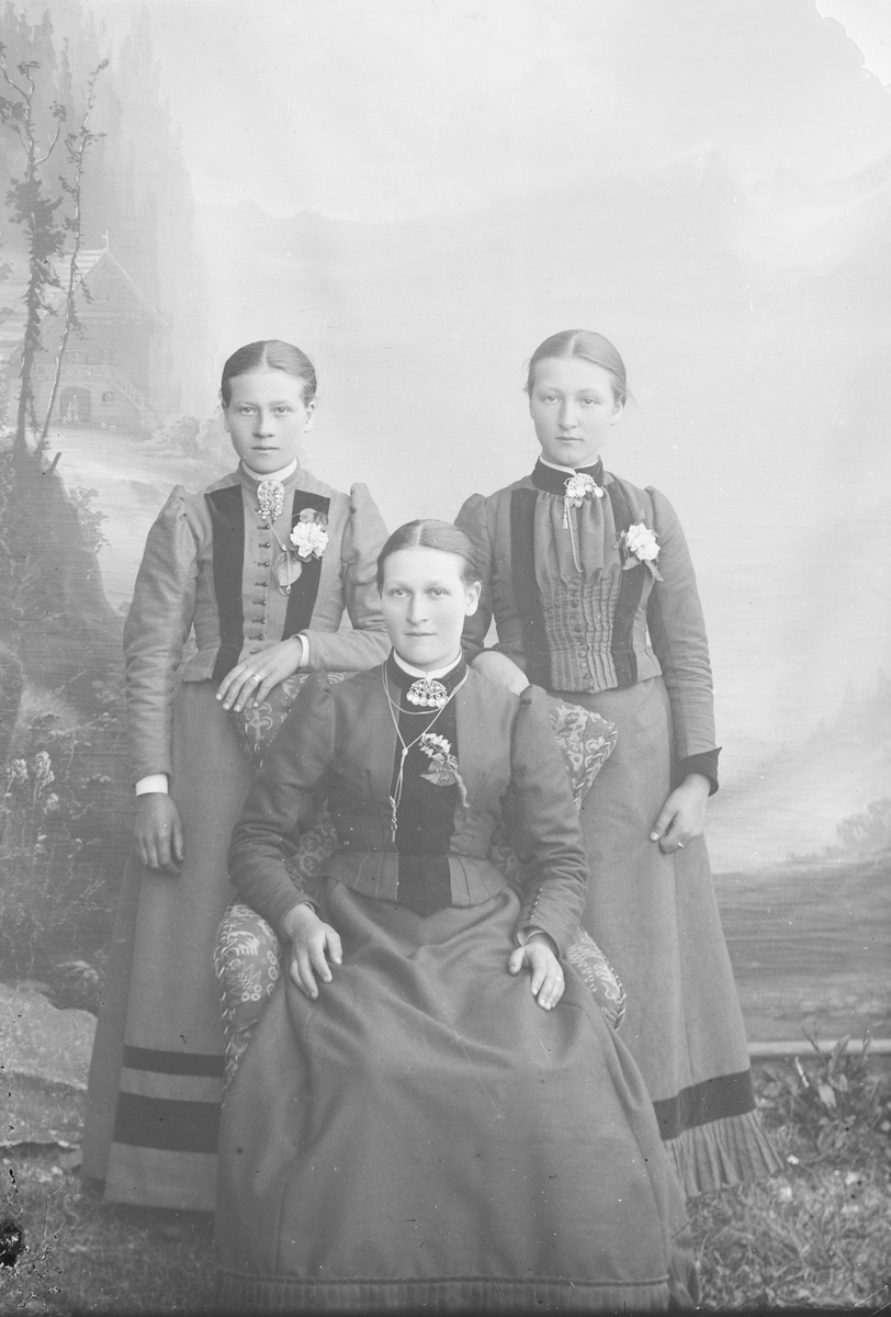 Tre kvinner hvor to står bak ei som sitter i stol. Nevnt som Birgit K. Heen med søstre.