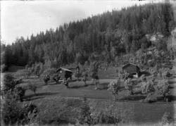 Rikard Berges fotoarkiv. Borgejordet i Tveitgrend, Kviteseid