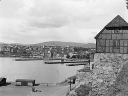 Pipervika fra Akershus.