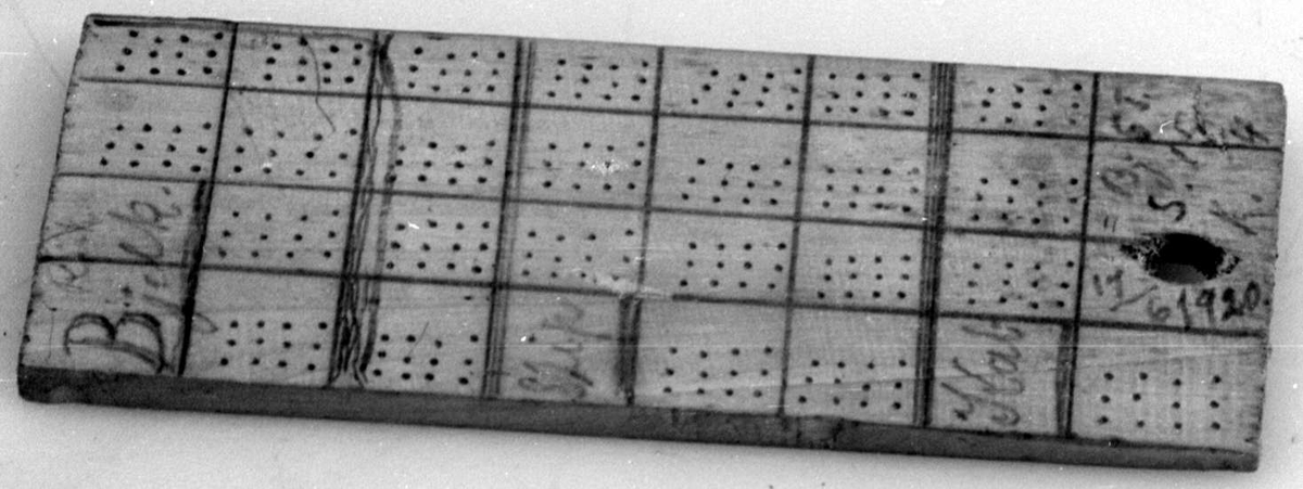 Et rektangulær treplate som har påtegnet ruter, med ulikt antall prikker i hver rute.