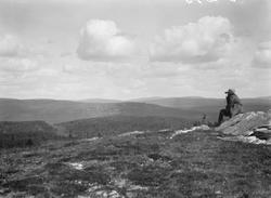 Ringebu. Klinkenberg. Utsikt mot Nyseterkampen.