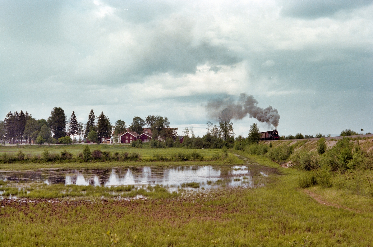 Veterantog på Solørbanen, syd for Kirkenær. Toget trekkes av damplokomotiv type 24b nr. 236.