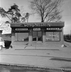 Valle Blomster og Frukt. Mars 1964