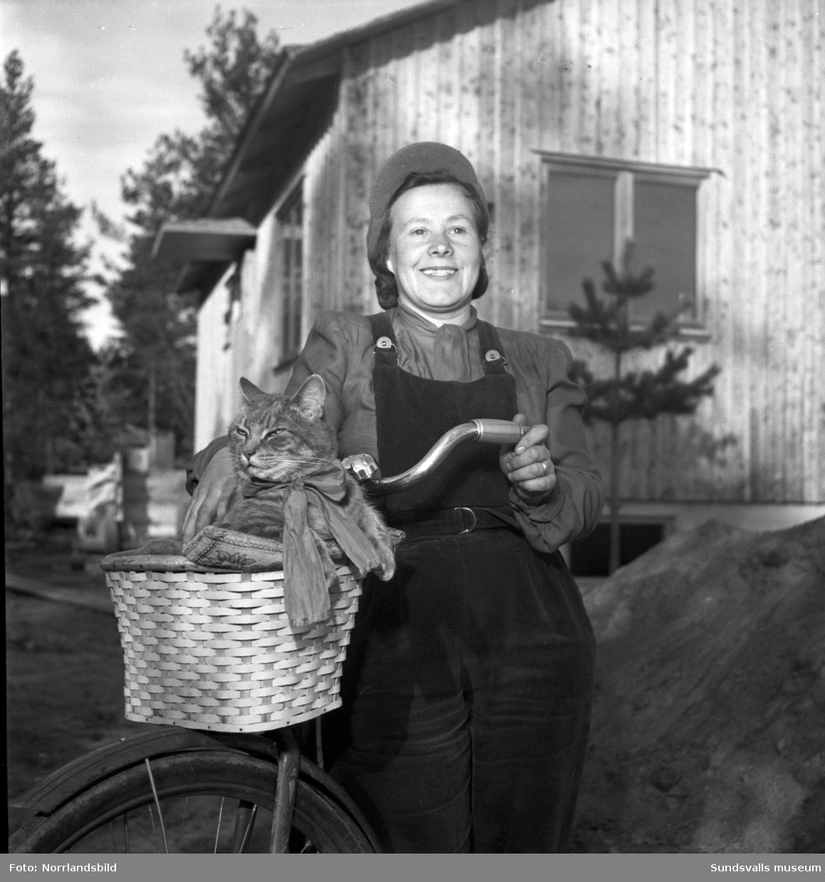 Husbyggande fru i Nacksta. En kvinna och en katt vid ett villabygge på Sallyhillsvägen 69.