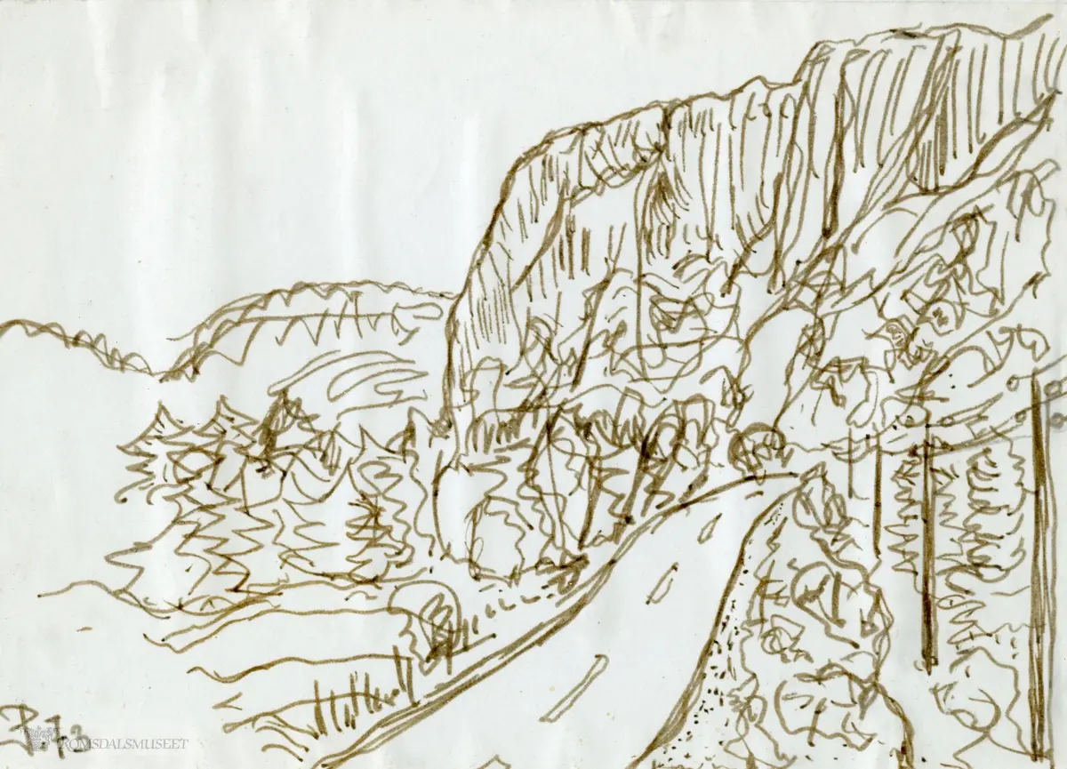 En vei i et skogkledd landskp med en fjellhammer i bakkant.