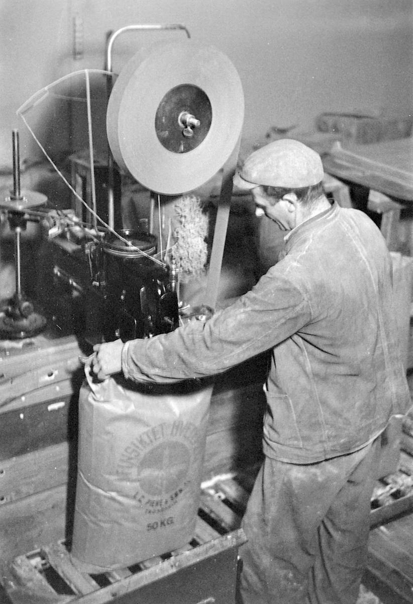 Fra sekkepakkeriet ved I. C. Piene & Søn i Buvika