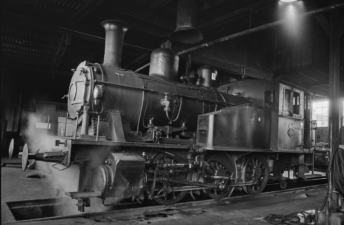 Utrangert damplokomotivtype 23b nr. 443 i lokomotivstallen på Sundland i Drammen.