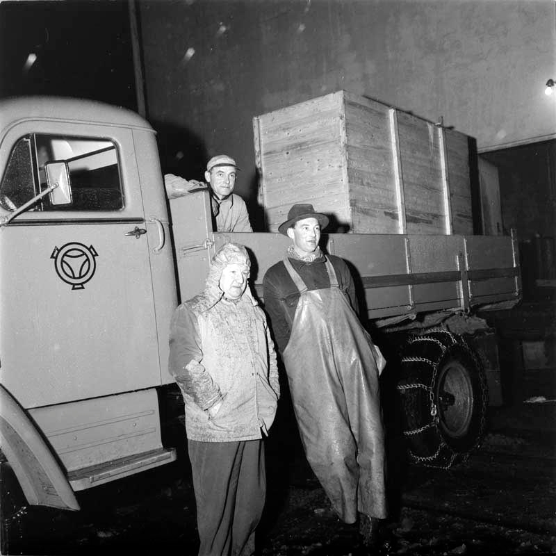 Istransport. Helgeland fryseri og kjøletransport, 1959.