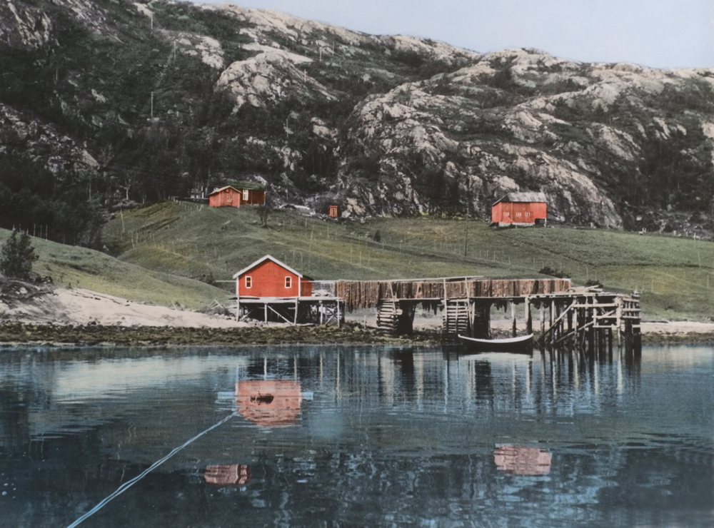Grønnvika m. kai, fjøs, hus, brygge, sett fra sjøen.
Tatt etter 1962.