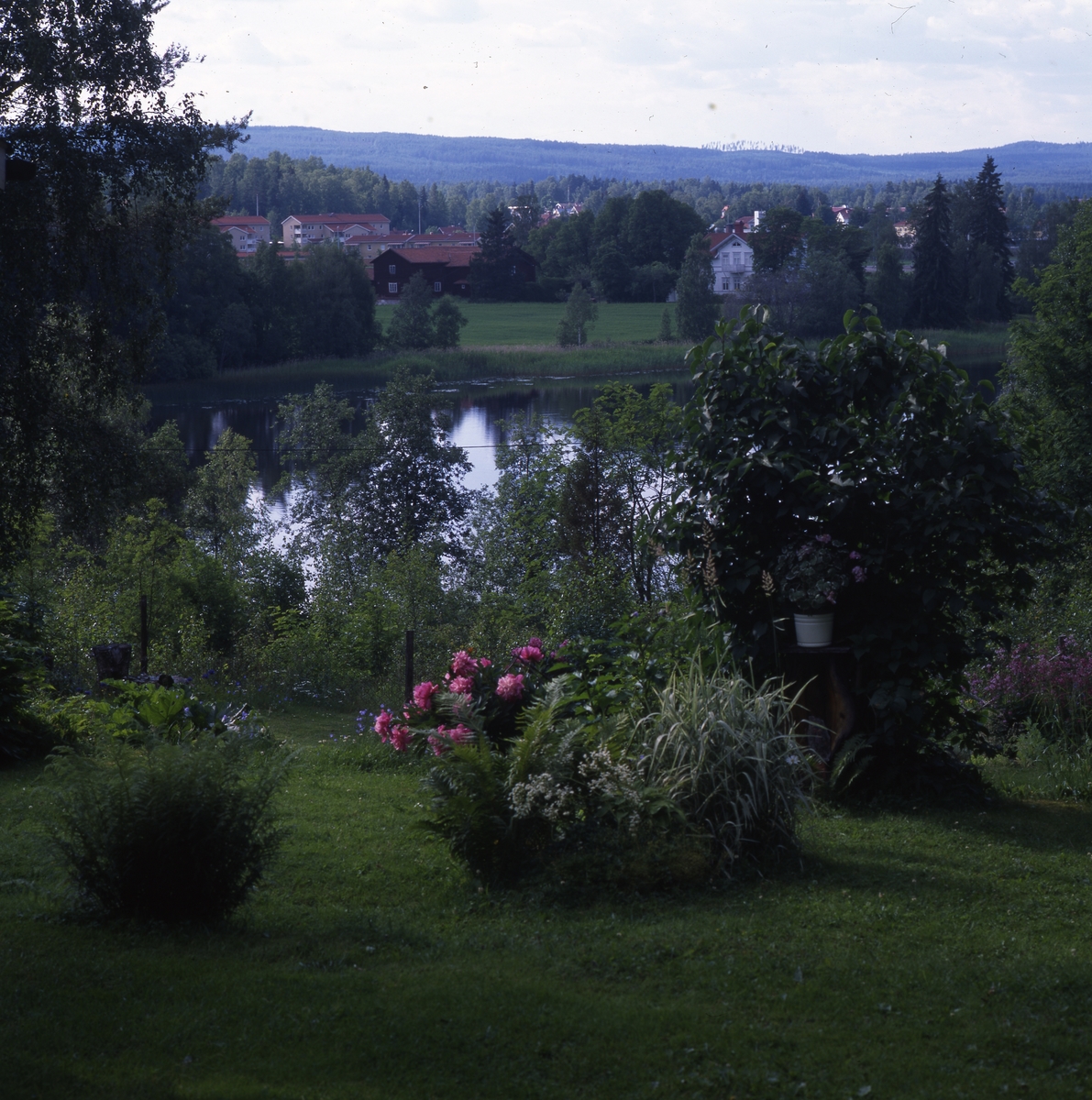 Vid Daisy o Gunnars Sommarställe i Alfta 22 juli 1996.