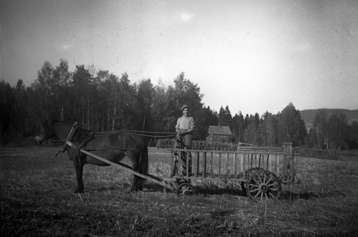 Åstad gard, hest og høyvogn, ukjent gardskar, slåttonn, hestekjøretøy