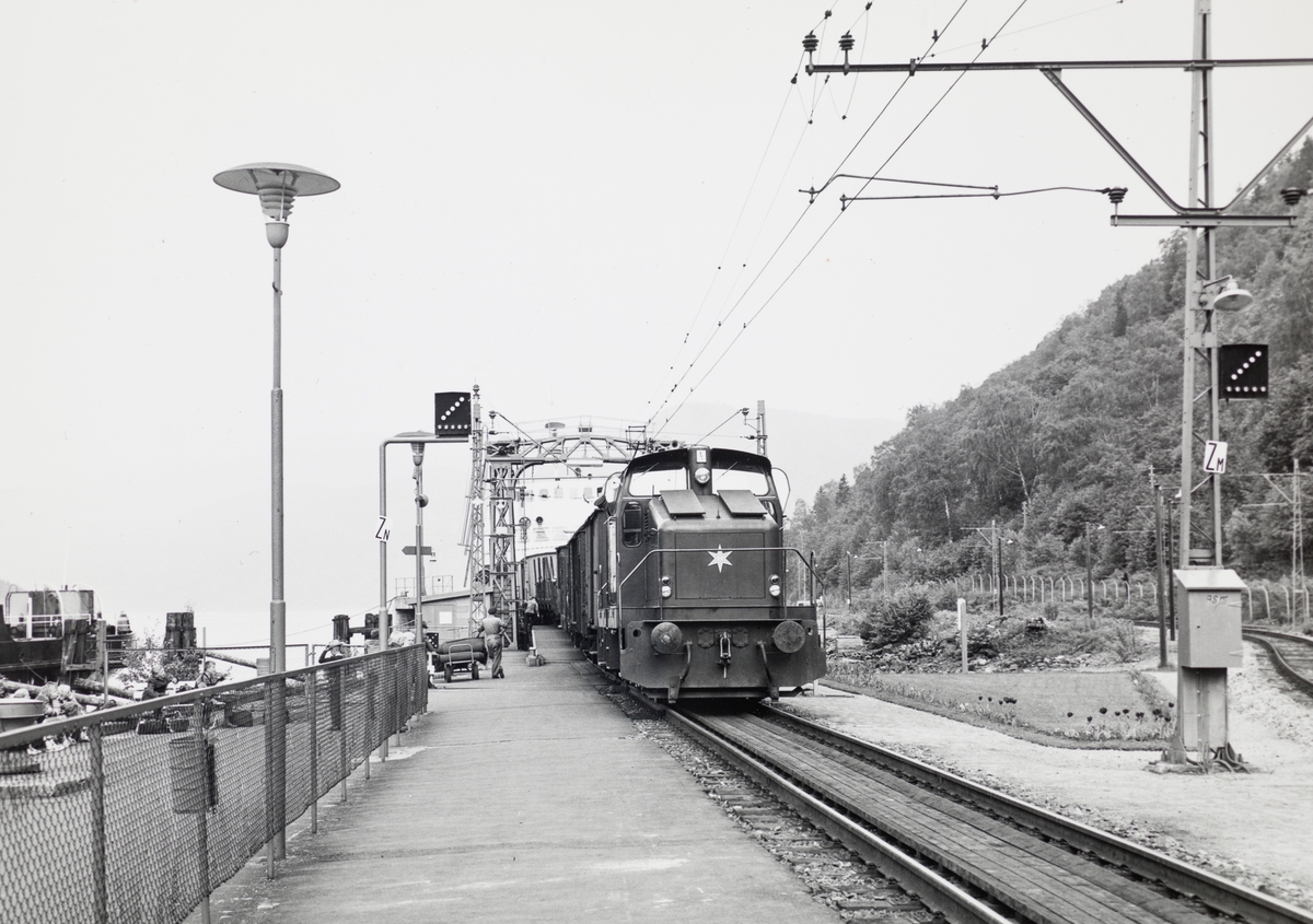 Et av Rjukanbanens  diesellokomotiv type DH 500 Ca skifter på Mæl stasjon på Rjukanbanen. I bakgrunnen MF Storegut.