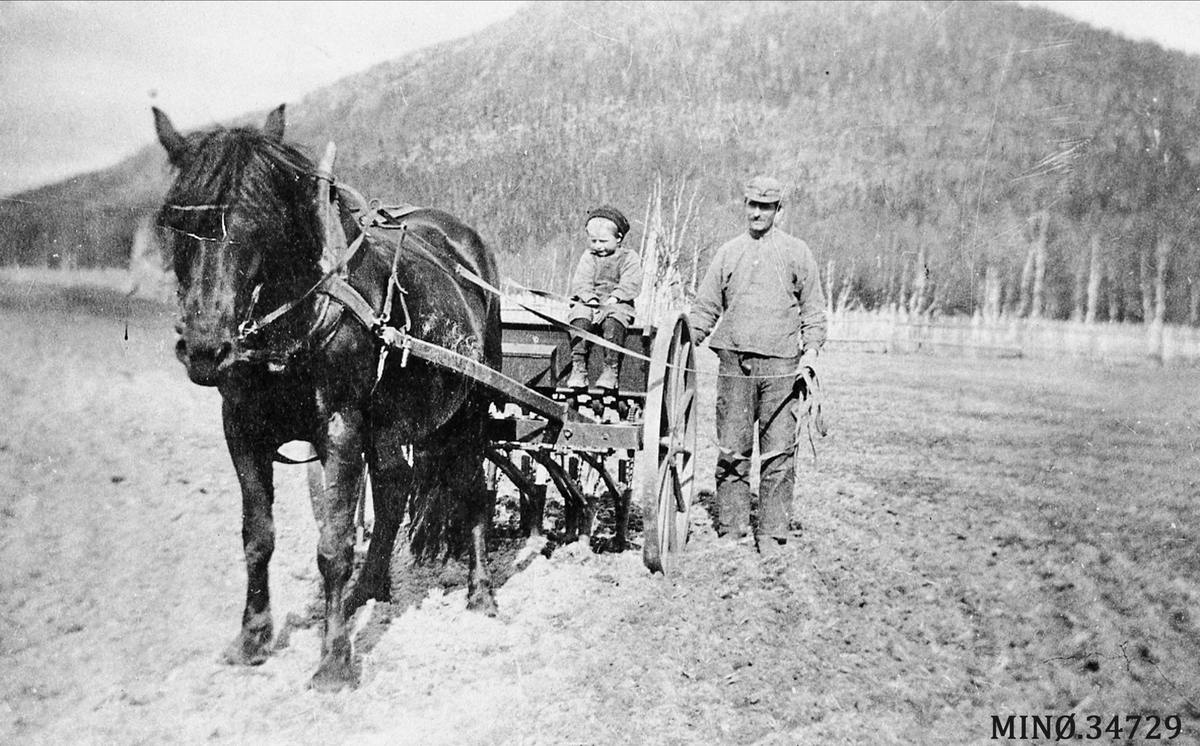 Såing med hestsåmaskin. Martin Engvoll og Peder M. Engvoll