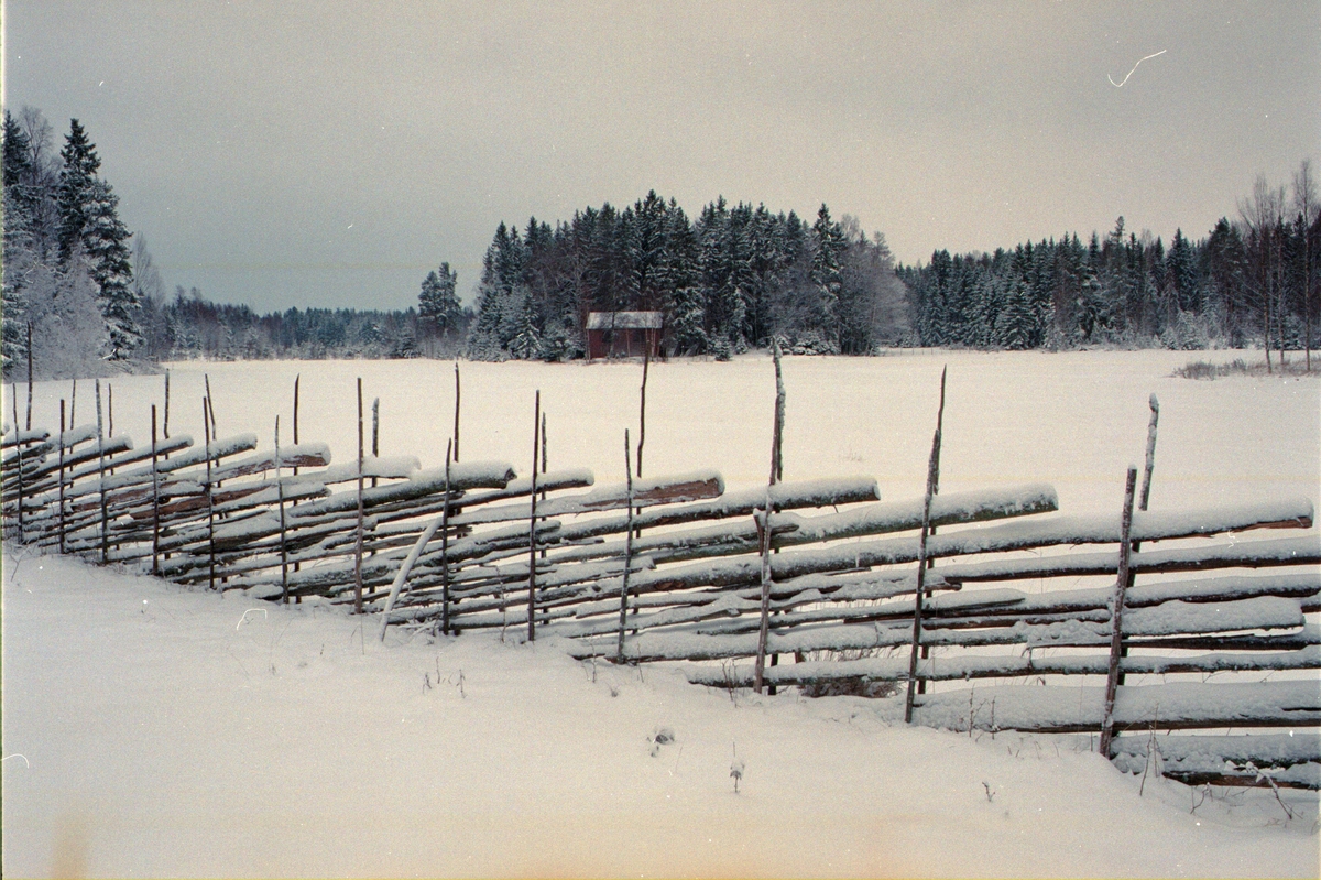 Vinterlandskap, Lönnholmen, Gräsö socken, Uppland 1994 - 1995
