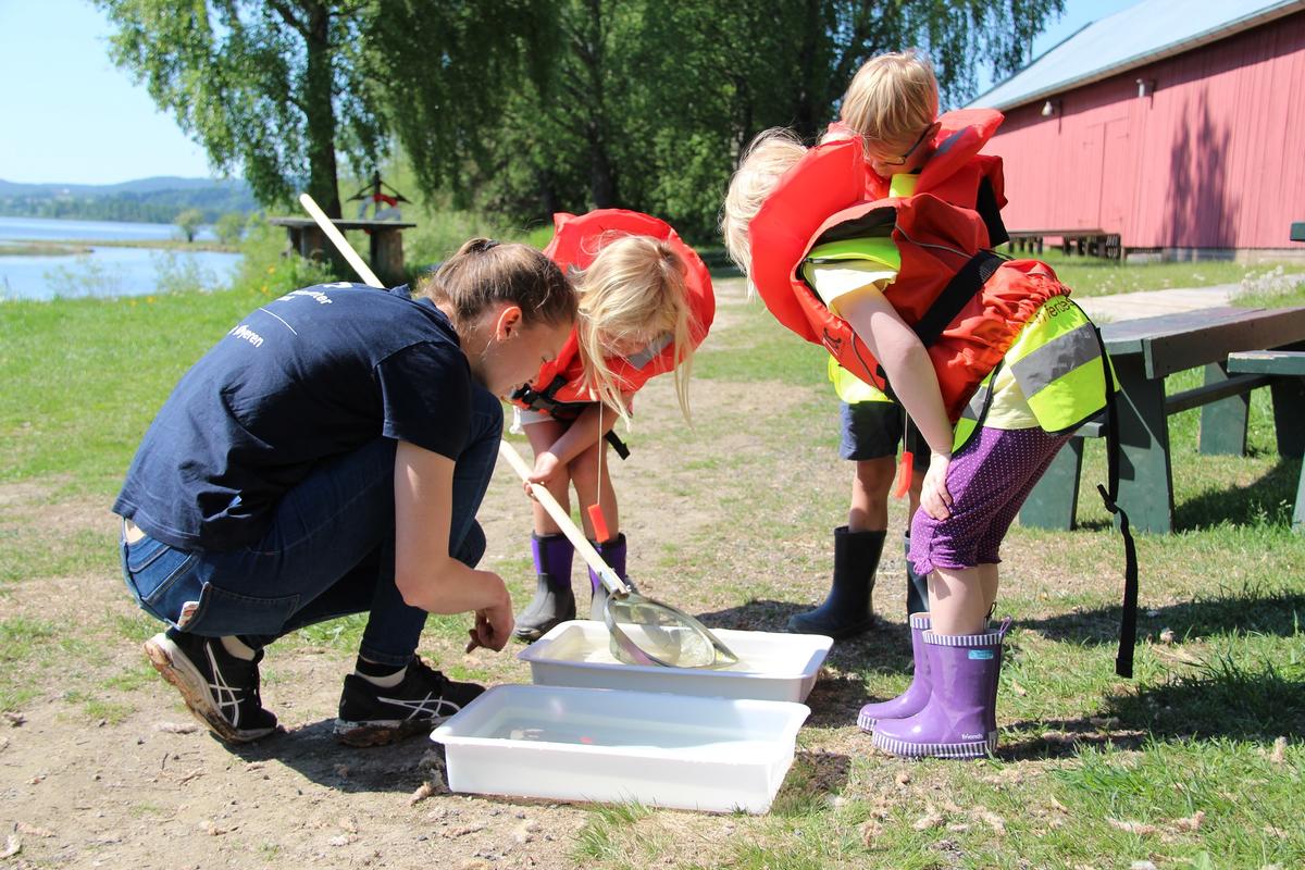 Naturveileder viser barn insekter i vannet (Foto/Photo)