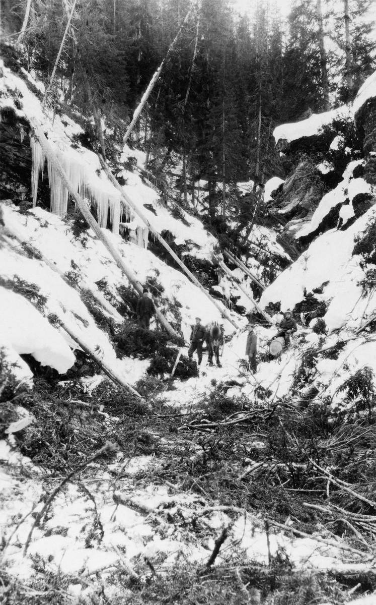 Fra skogsdrifta i Ledalen i Dragås-Holtålen statsallmenning 1925-1926.  Under dette negativnummeret har Statskog-arkivet et kartotekkort med to fotografier, begge tatt i et bratt, bergfullt gjel i landskapet.  Det ene bildet viser to skiløpere, antakelig skogfunksjonærer på ei flate i botnen av gjelet med bratte bergskrenter i bakgrunnen.  Det andre viser gjelet med en god del kvist etter hogst i de laveste partiene.  I bakgrunnen skimtes to-tre karer som står og kikker mot bergene hvor tømmeret må opp om en skal kunne nyttiggjøre seg det.