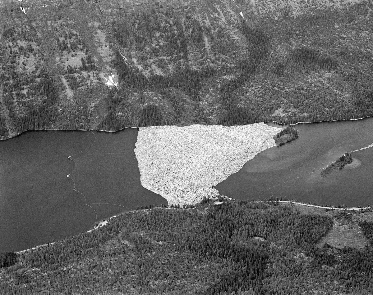 Flyfotografi fra nordenden av Sennsjøen i Trysil.  Bildet er tatt våren 1986 over et landskap med en smal innsjø omgitt av et terreng med skog, i hovedsak glissen bjørke- og furuskog, men også tettere granbestand i partier med djupere jordsmonn og mer fuktighet.   I de bratte liene øst for Kampflåhøgda, på vestsida av vassdraget, var det stort sett bare stein og grusmasser uten skogvegetasjon.  Langsmed østsida av vassdraget (nederst i bildet) gikk Sennsjøvegen (fylkesveg 581) forbi Sennsjøvik-gardene.  Ute i innsjøene ser vi de to Sandholmene.  Like sør for disse holmene lå det ei lense, der tømmeret som var fløtet ned Femundselva fra Engerdal ble holdt tilbake i påvente av høvelig vannstand i den nedenforliggende delen av Trysilelva.  I den øvre delen av vassdraget var man avhengige av å fløte mens det var flomvannføring, for å slippe at tømmeret satte seg fast på grusører i elveløpet. Lengre nedover var det et poeng at vårflommen skulle være på retur før de store tømmermengdene kom. I det flate lendet langs Trysilelva kunne nemlig flomvannet føre mange av stokkene langt inn på land, og i så fall ble det arbeidsomt for fløterne å bære dem tilbake til vannstrømmen i elveløpet når vannstanden sank. Derfor ble engerdalstømmeret ofte holdte tilbake i Sennsjølensa til begynnelsen av juni. Det året dette fotografiet ble tatt ble det levert om lag 22 000 kubikkmeter fløtingsvirke fra Engerdal. Dermed ble bilvegene i regionen spart for 3 - 4 000 lastebillass. Fløterne var avhengige av nordavind når det åpnet Sennsjølensa, for strømdraget var ikke kraftig nok til å dra tømmeret gjennom sjøen om det blåste fra sør. På vannspeilet ser vi hvordan fløterne hadde sikret tømmerbeholdningen ved å legge ei sikringslense utenfor hovedlensa (til venstre) og ei lense som hindret tømmeret i å drive inn i Sennsjøvika. Da dette fotografiet ble tatt var det kraftig sønnavær, så tømmeret hadde blåst litt nordover fra stopplensa.