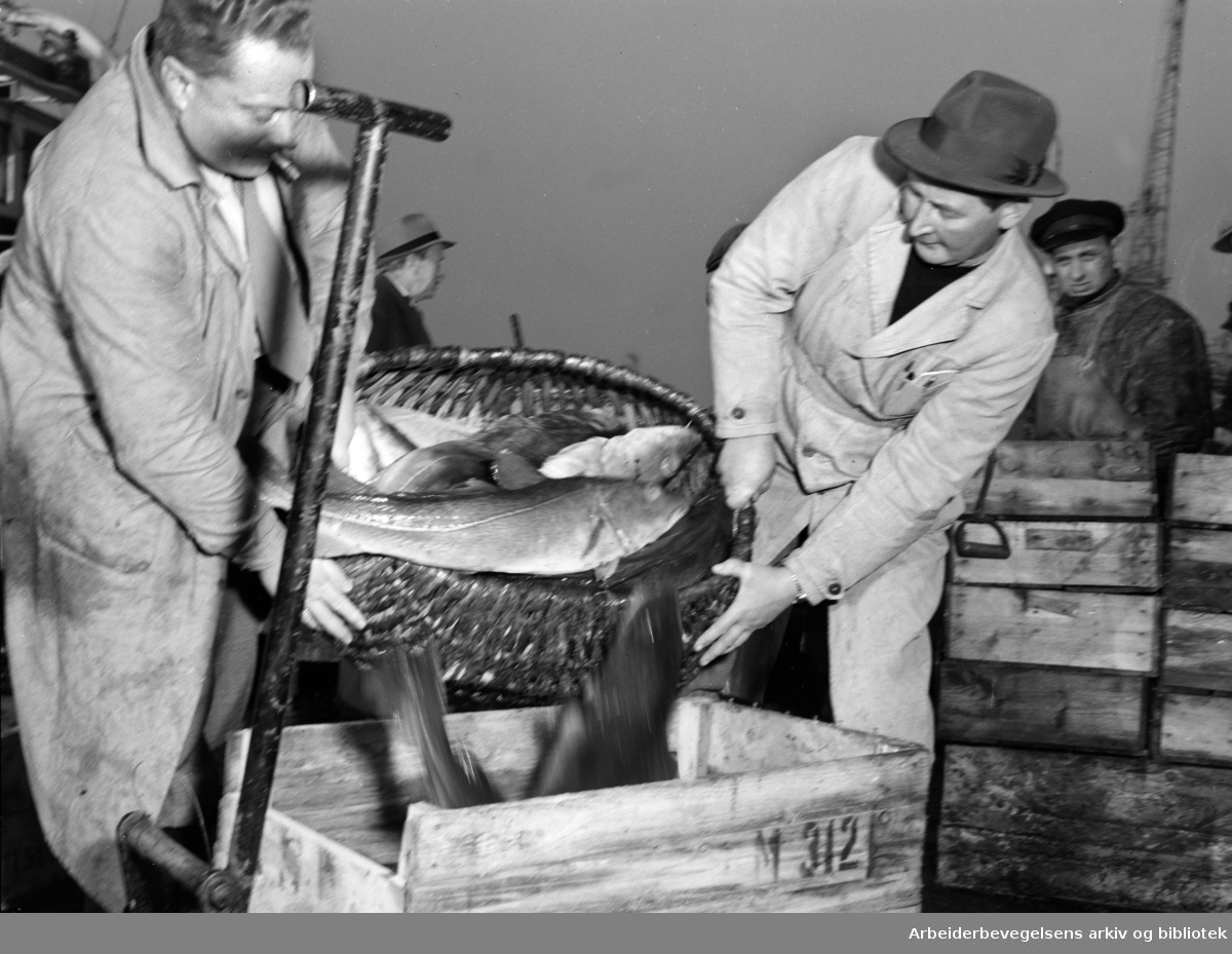 Fiskehallen. November 1951