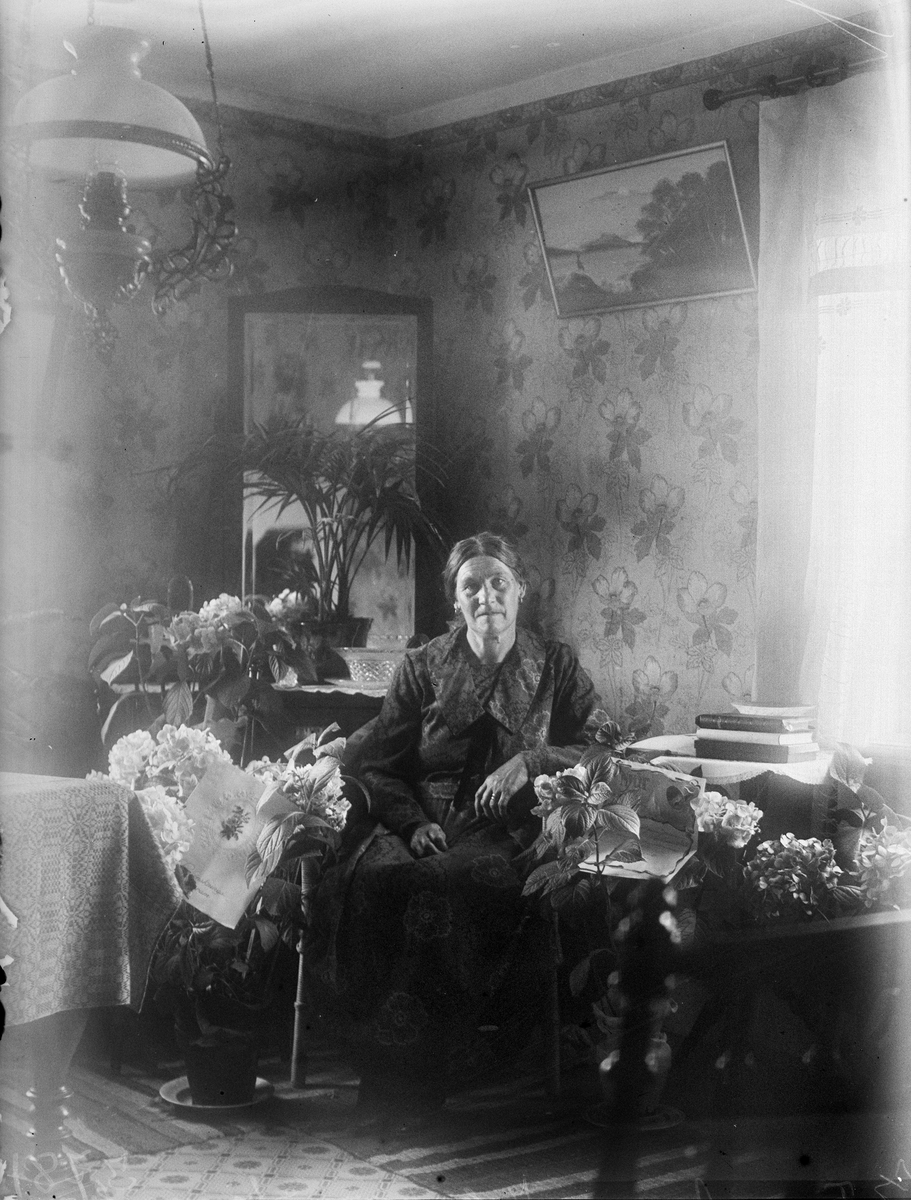 "Fru Agnes Johanson Skinnarbo", Simtuna socken, Uppland 1925