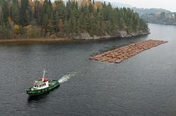 Buntfløting av tømmer med slepebåt i Skiensvassdraget høsten