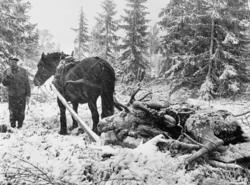 «Erling Roen og Svarten. Kvil under Imslia. 1.10.1969»