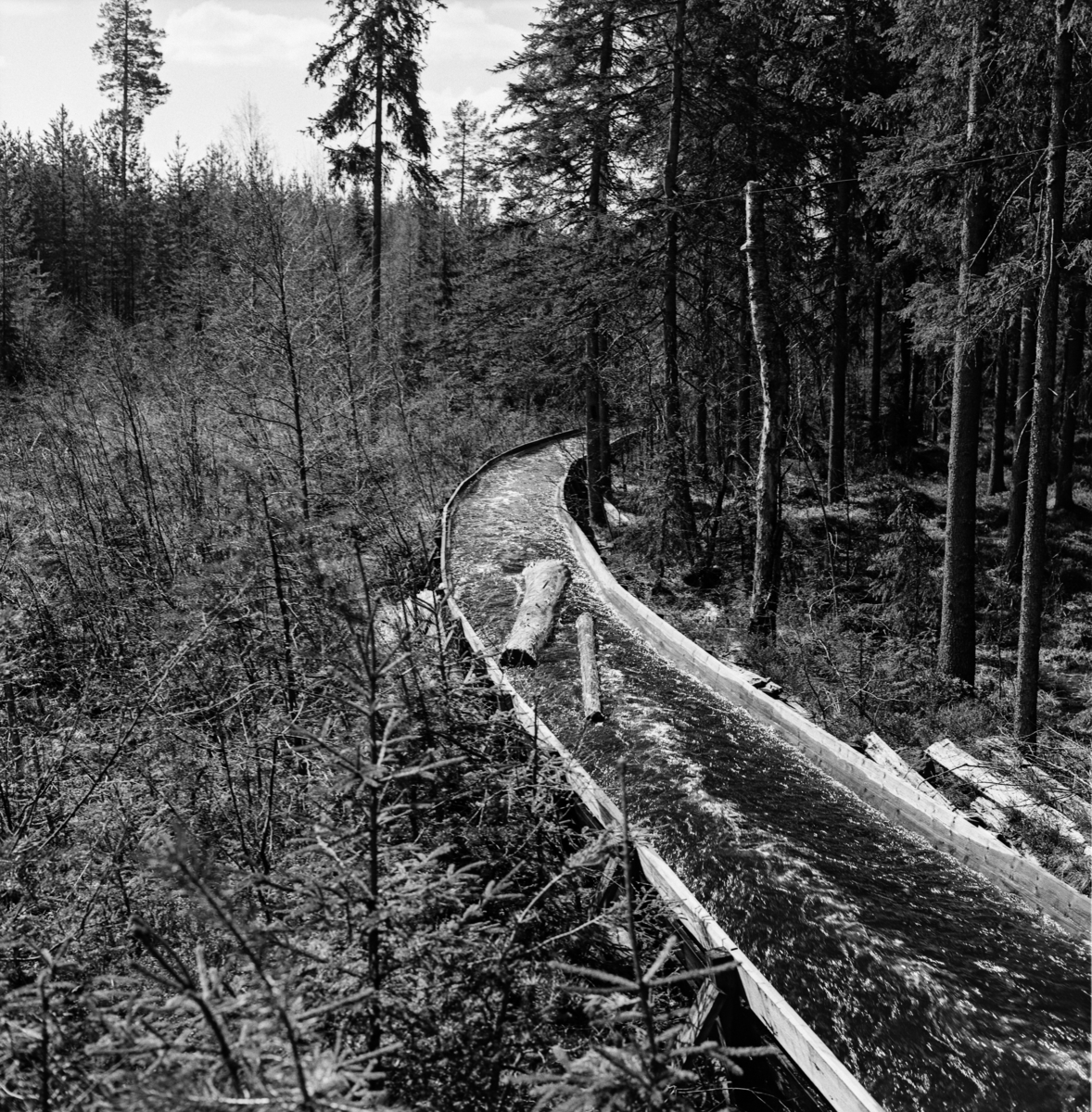 Tømmerrenna i den nedre delen av Fallåa i Romedal allmenning, fotografert i mai 1969.  Bildet later til å være tatt i medstrøms retning i et lende der traséen er relativt slak, og hvor renna var lagt i en kurve.  Vi ser hvordan tømmerstokkene flyter nedover på en forholdsvis stilleflytende vannstrøm. Rennetraséen går med tett, høy barskog på den ene sida (til høyre i bildet, nordvest i terrenget), og med ungskog på den andre.  Fallårenna vr ei såkalt «plankerenne» eller «våtrenne».  Renneløpet er lagd av planker, antakelig av to-tre tommers tjukkelse, muligens med et slitelag av en eller halvannen toms bord i botnen innvendig.  Slike renner fikk gjerne et trapesformet tverrsnitt med botnbredde på 40-60 og en åpning på 75-100 centimeter mellom overkantene, noe som later til å være tilfellet her også, sjøl om eksakte mål ikke kan fastslås ut fra fotografiet. Behovet for ei tømmerrenne i Fallåa skyldtes at dette lille fløtingsvassdraget passerte et bratt fall cirka en kilometer før det nådde utløpet i Malungstjernet.  Her hadde tømmeret lett for å splintres eller å sette seg fast.  Derfor bygde trelastfirmaet Westye Egeberg & Co. ei tømmerrenne på dette stedet i 1890-åra.  Denne første renna var ment som ei våtrenne, som den på fotografiet, men den fungerte ikke helt etter intensjonene.  Ettersom inntakspunktet for renna var plassert litt nede i den bratte skrenten, skal tømmeret ha blitt kastet inn i renna i så stor hastighet at tømmerstokkene så å si seilte fra vannet, som kom støtvis etter.  Dette innebar mye slitasje på rennelegemet, og stadige reparasjonsbehov.  Derfor bestemte man i 1914 at renna skulle forlenges og forhøyes, slik at tømmerinntaket kunne flyttes til en damkonstruksjon – seinere kalt Rennedammen – noe høyere oppe, ovenfor det bratte partiet.  Dermed oppnådde fløterne jevnere vannføring og noe langsommere framdrift for fløtingsvirket.  Der renna krysset den daværende kjerrevegen mellom Vallset og Odalen ble det bygd bru over renna.  Renna fra 1914 var i bruk fram til 1934.  Romedal allmenning, som i mellomtida hadde overtatt Westye Egeberg & Cos eierskap til skogen i dette området, bygde da ei helt ny renne der den forrige hadde stått.  Samtidig ble Renndammen forhøyet og pusset med sement.  Renna fra 1934 var i bruk i 35 år, altså fram til våren 1969, da dette fotografiet ble tatt. 